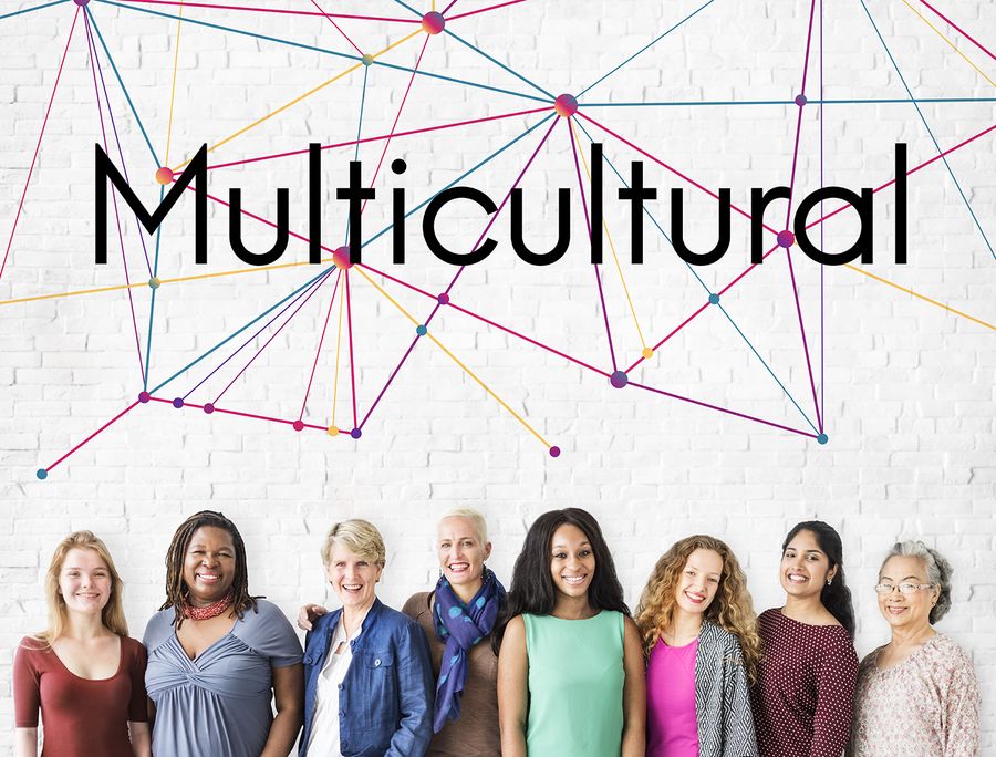 Diversity Training
