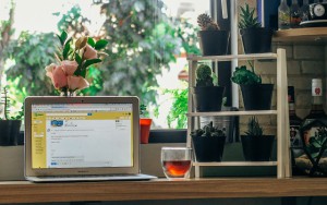 Laptop with social media on screen, surrounded by plants, indicating a green office environment.