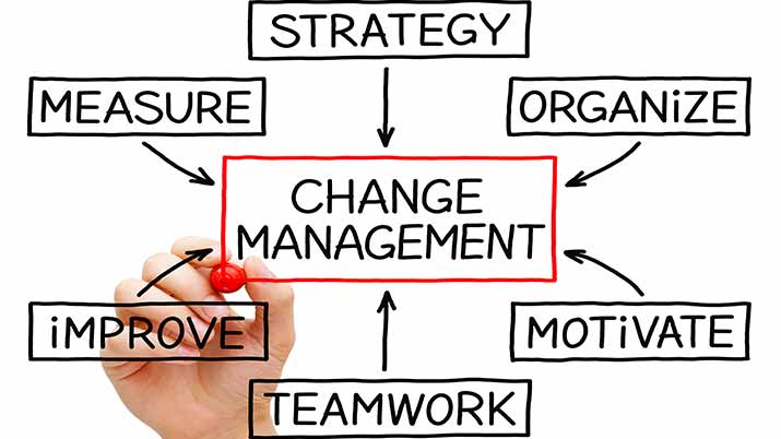 Handling Organizational Change at Any Level