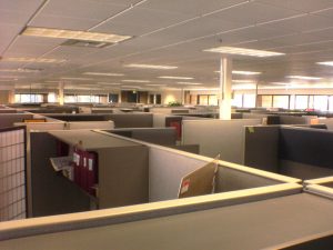 Empty office cubicles in a traditional workspace setting.