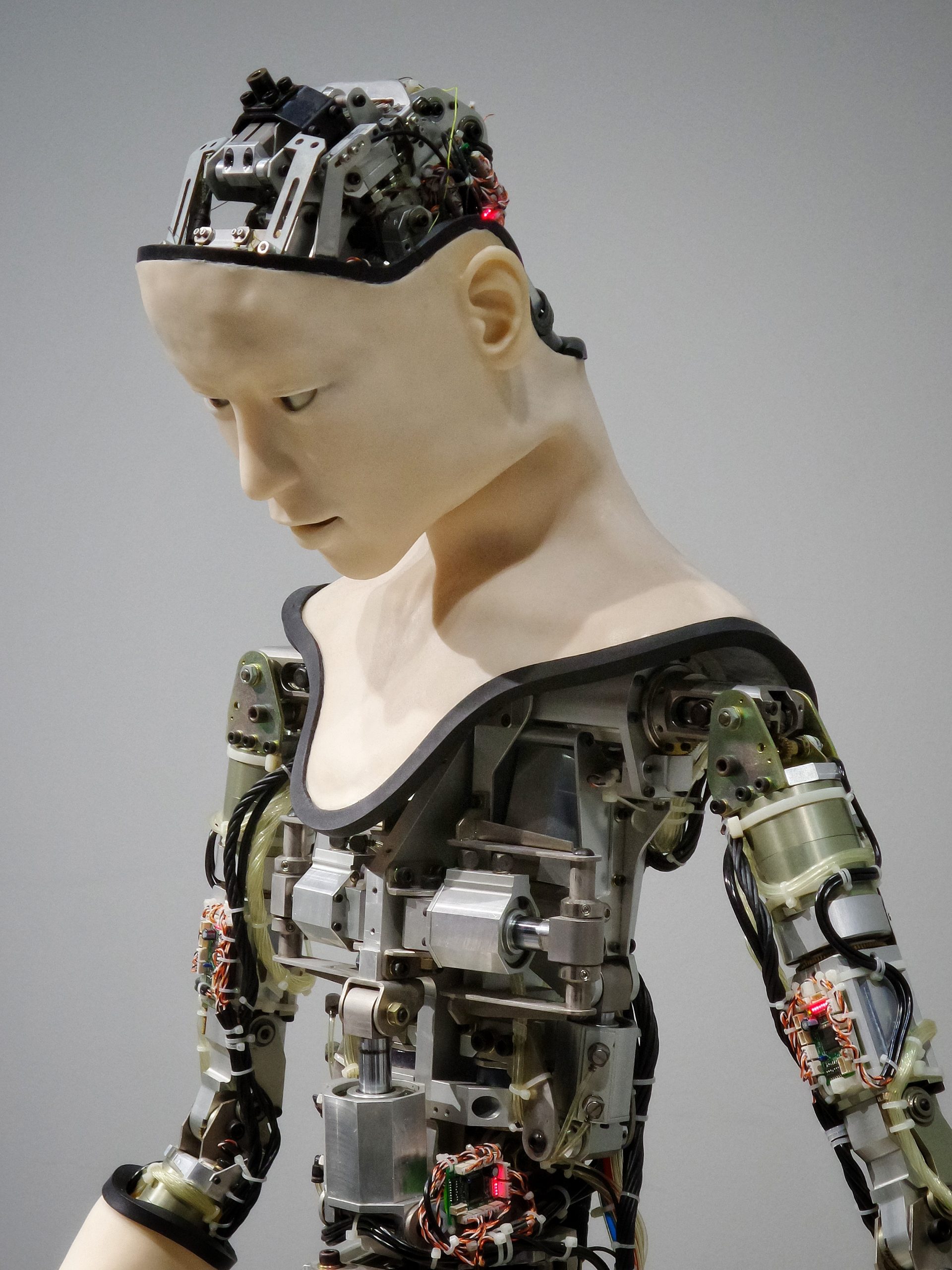 The Automation Revolution – Chatbots and AI