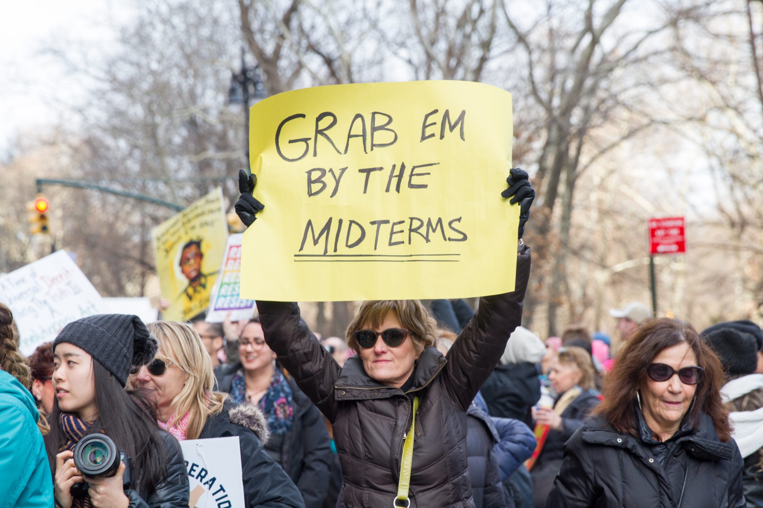 Protester holding sign that says 'GRAB EM BY THE MIDTERMS' at a rally.