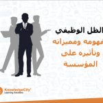 الظل الوظيفي: مفهومه ومميزاته وتأثيره على المؤسسة