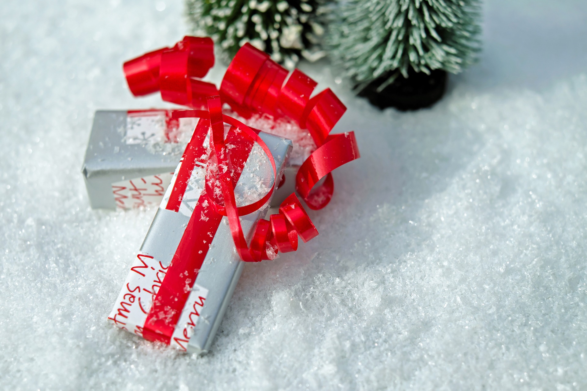 Silver gift box with red ribbon on snowy background with pine tree.